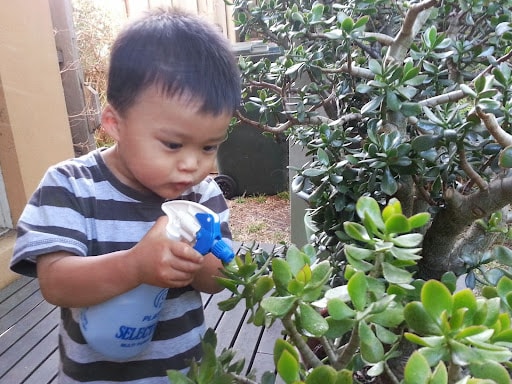 boy spraying plant with bottle