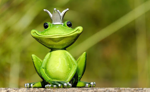 animated frog with crown